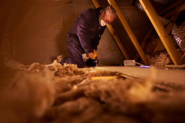 Types of Insulation We Offer in White Mountain Lake, AZ